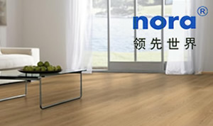 (gu)NORAZ